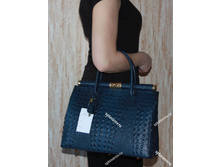 0001-49 - ����������� ���� � �������� Caiman.jpg