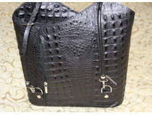 0063-01 - ����������� ���� � �������� Caiman.jpg