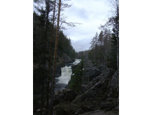 DSCF4499.jpg