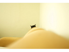 cats-12.jpg