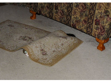 cats-53.jpg