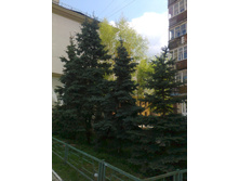 ����0506.jpg