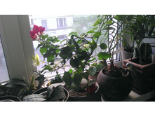 09.05.2014 20:18:52