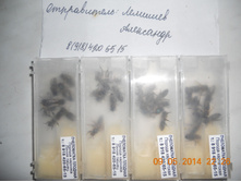 DSCN7875.JPG