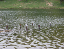 DSCF3996.JPG