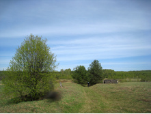IMG_0474.JPG