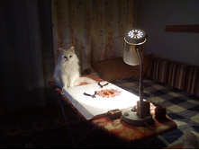 DSC00053.jpg