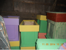 DSCN7919.JPG