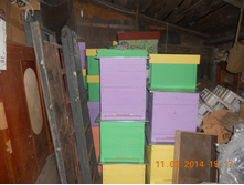 DSCN7920.JPG