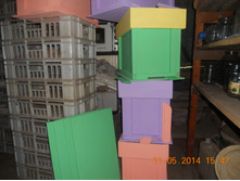 DSCN7927.JPG