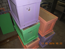 DSCN7940.JPG