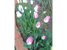 ����0428.jpg