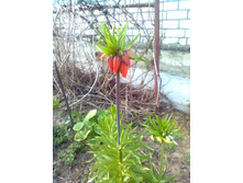 ����0409.jpg
