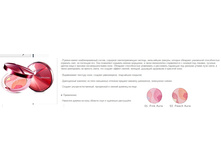 ������ ���***���� Cas***leDew Au**ra Pris**m B***lusher 10 g NEW ���� 845h