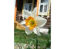 P1110227.JPG