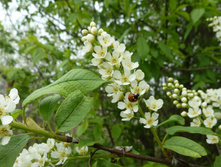P1110330.JPG