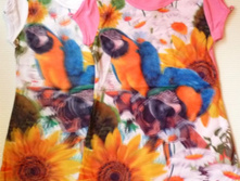 13990815.902-1.jpg