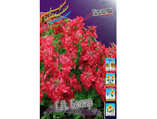 20,79���. �������� (Corydalis) �.�. ����� (��� 10 ��. ���������� ������ 5��.).jpg