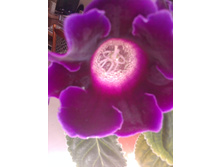 15.05.2014 12:36:36