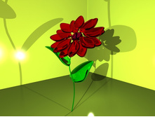 flower