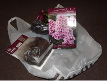 DSCF2563.JPG