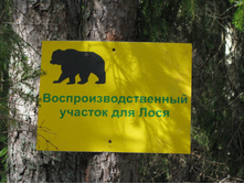 IMG_6350_resize.JPG