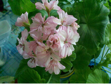 130520141665.jpg