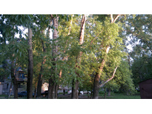 2014-05-18-473.jpg
