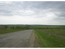 P1000883_1.jpg