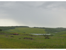 P1000885_1.jpg
