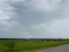 P1000893_1.jpg