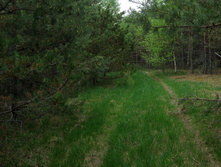 IMG_0026.JPG