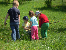 IMG 079.JPG