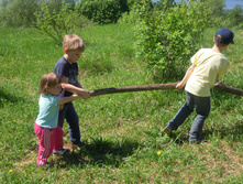 IMG 082.JPG