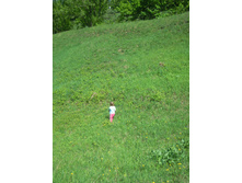 IMG 090.JPG