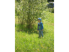 IMG 093.JPG