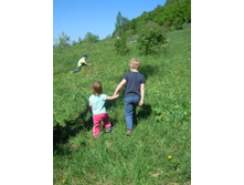 IMG 096.JPG