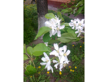 ����0509.jpg