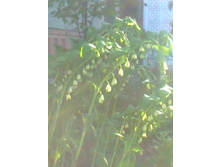 ����0531.jpg