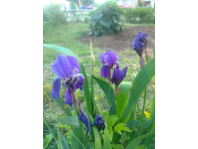 ����0594.jpg