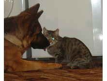 DSC00302.JPG