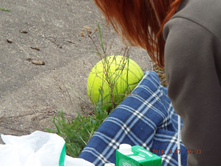 DSCF2083.JPG