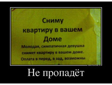 1600027_ne-propadyot.jpg