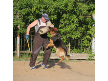 IMG_1371.JPG