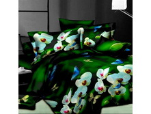 ����-����� 3D ML-2062