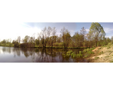 IMG_20130512_164636.jpg
