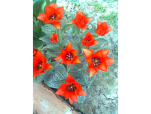 ����0419.jpg