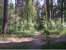 DSCN5702.JPG