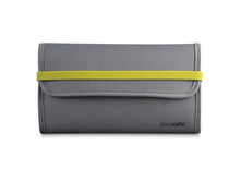 1000 �      ������� P\"acSa\"fe R\"FID-tec 250 PE323CS