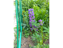 ����0707.jpg